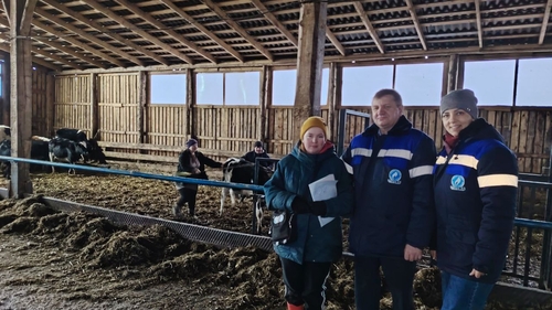 Члены Молодежного совета и ОО "БРСМ" ПУ "Глубокоегаз" решили оказать помощь подшефному колхозу "За Родину".