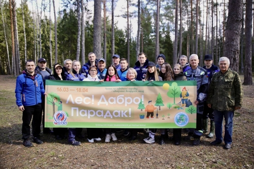 «Лес! Дабро! Парадак!»:работники и ветераны ПУ «Витебскгаз» объединились для уборки леса на Лосвидо